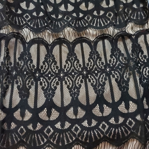 ELIZA J Black & Nude Lace Dress.  SZ. 8.  Stunning. Lined - Picture 6 of 14